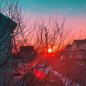 Meet your Posher, Ava